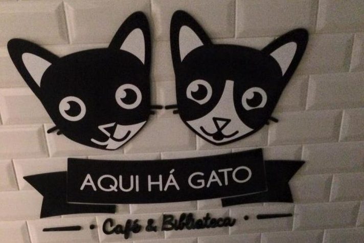 Aqui há gato