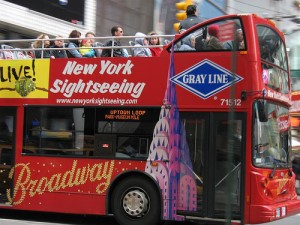 Ônibus Gray Line