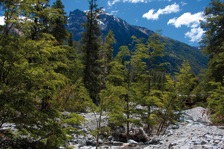 férias em Bariloche